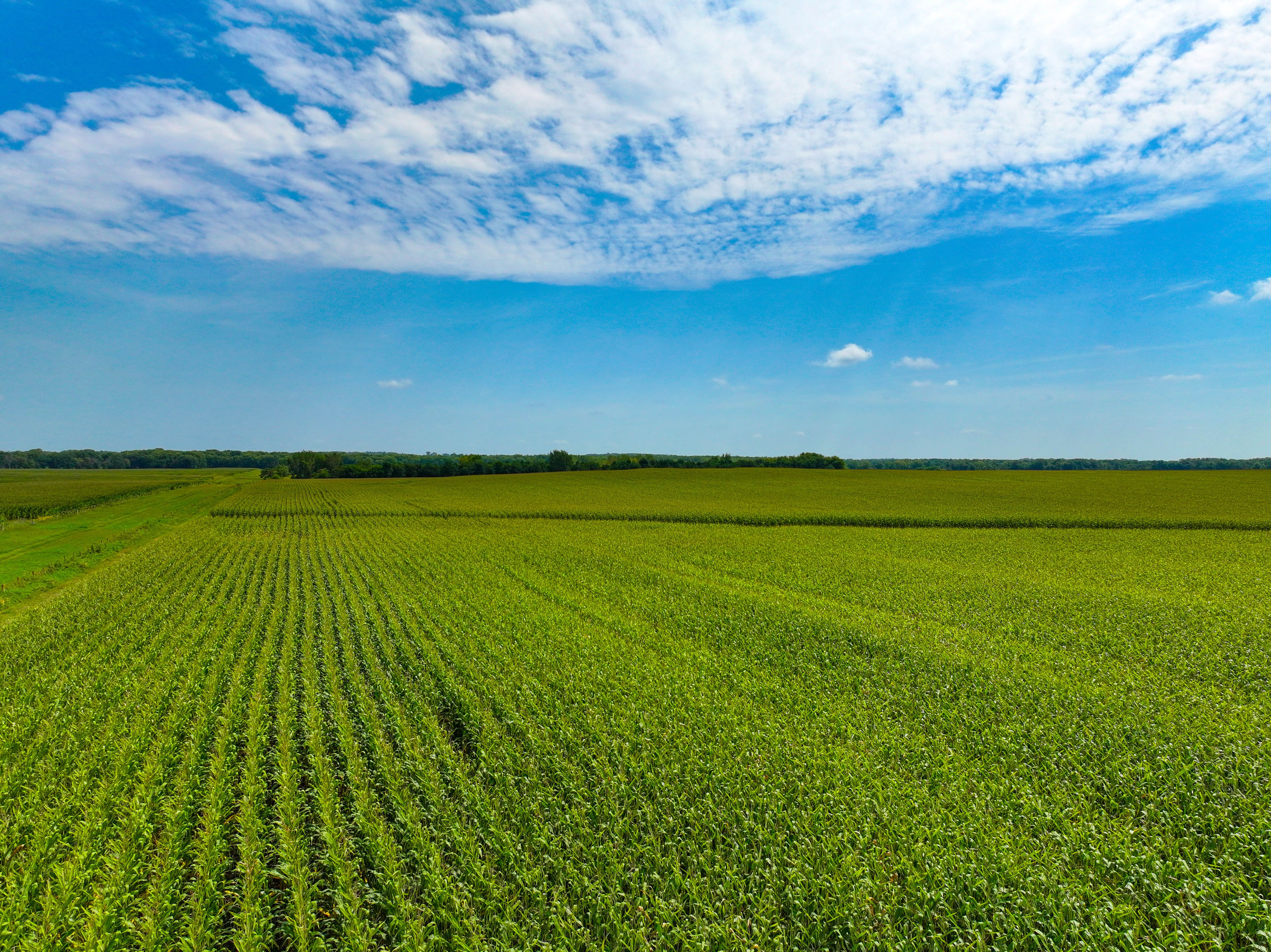 Listing Photo: 01_Buchanan County Farm For Sale